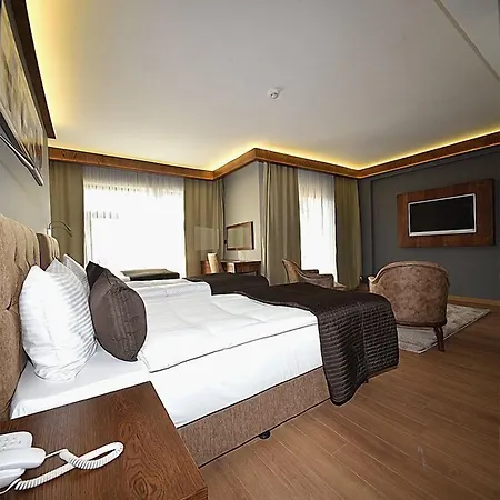 Hotel The Elegant