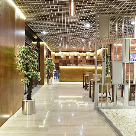 Отель The Elegant 4*