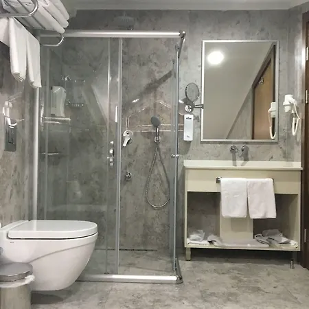 The Elegant Hotel 4*