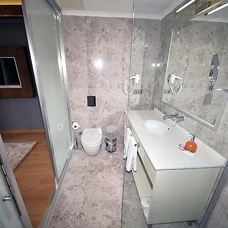 Otel The Elegant 4*