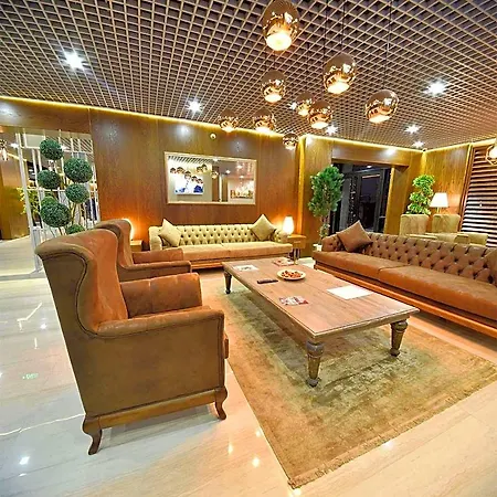 Otel The Elegant 4*