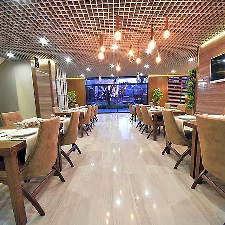The Elegant Otel