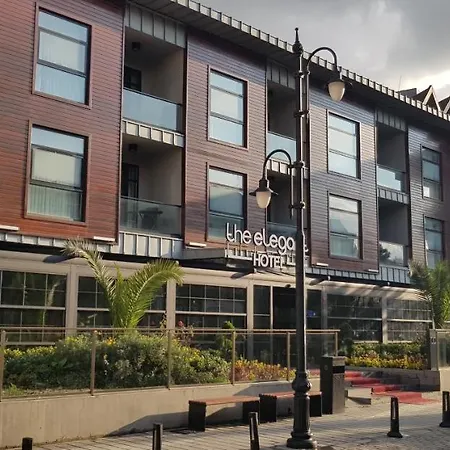 The Elegant Hotel 4*