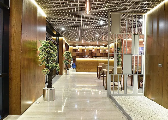 Hotel The Elegant 4*