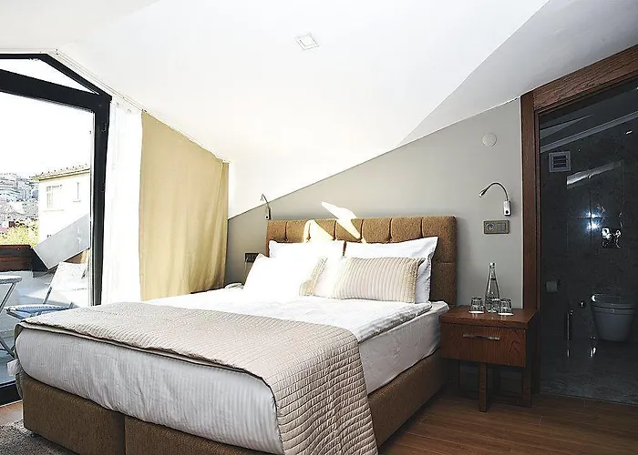 Hotel The Elegant 4*