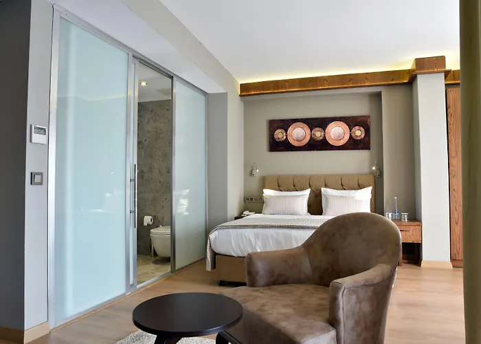 Hotel The Elegant 4*