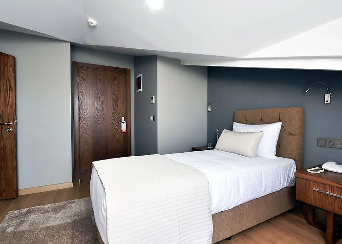 The Elegant Istambul