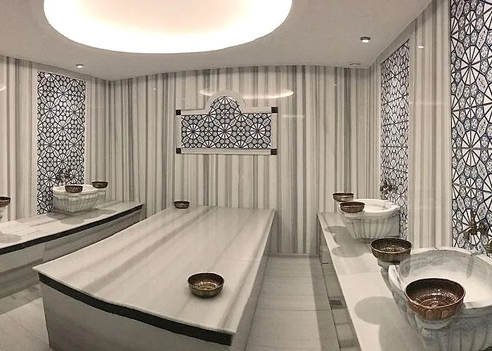 Hotel The Elegant 4*