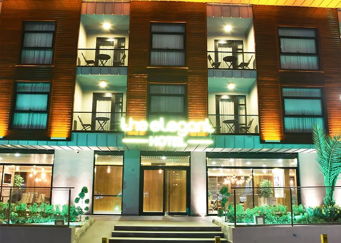 The Elegant Istambul
