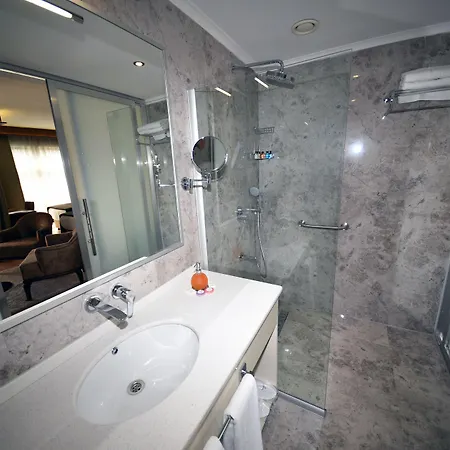 Hotel The Elegant