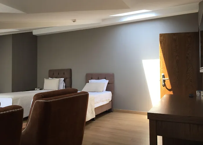 Отель The Elegant 4*